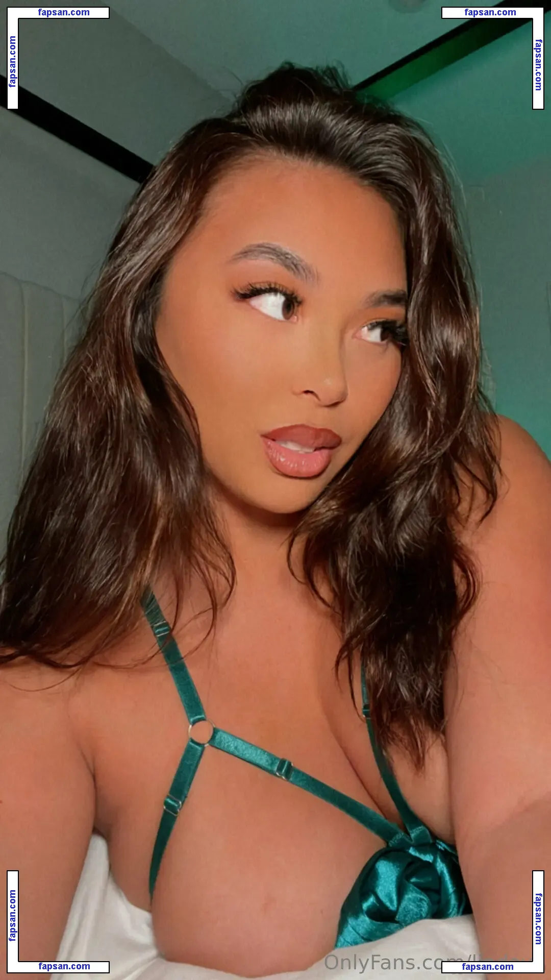 Linda Vo nude photo #0136 from OnlyFans
