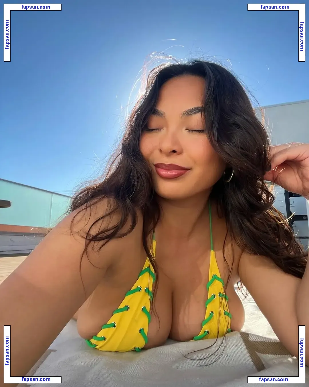 Linda Vo nude photo #0139 from OnlyFans