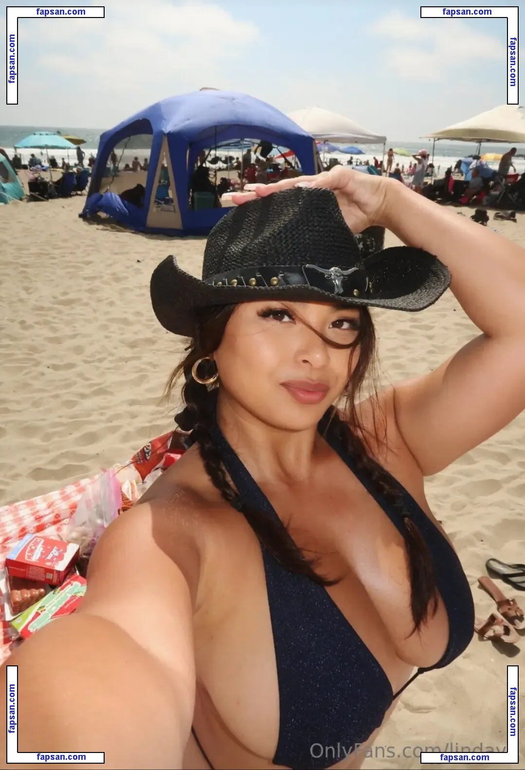 Linda Vo nude photo #0148 from OnlyFans