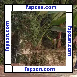 Lisa Ann nude photo #0858 from OnlyFans