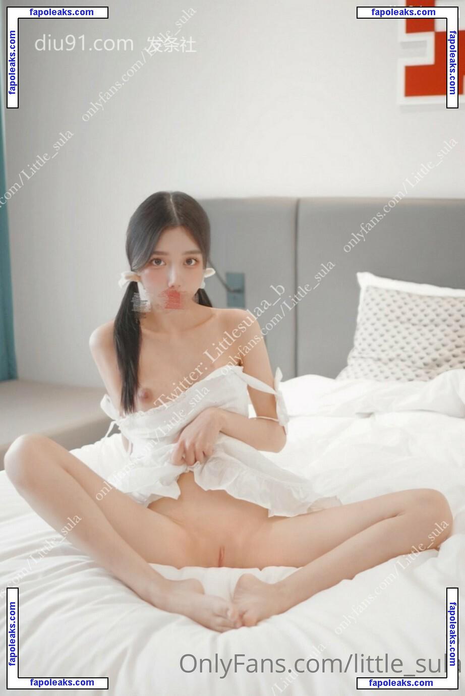 Little_sula / 리틀설아 nude photo #0023 from OnlyFans