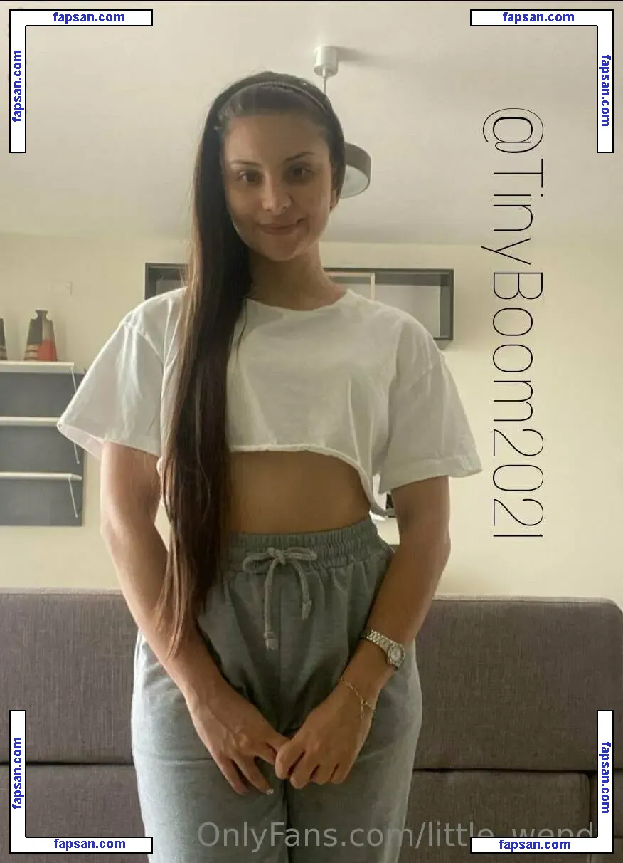 little_wendy nude photo #0025 from OnlyFans