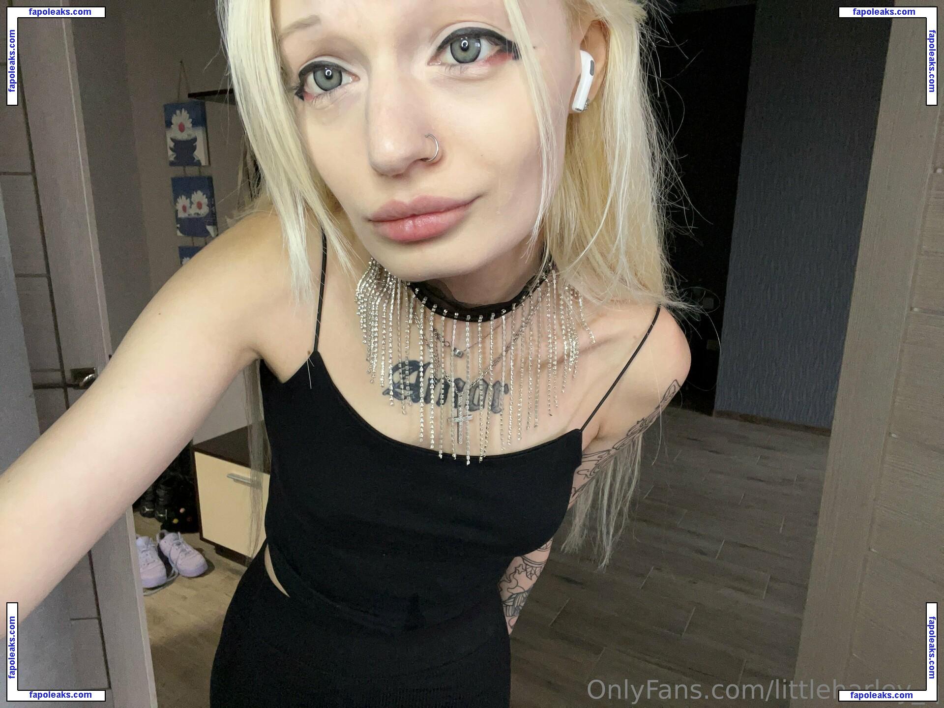 littleharley_q / little_harley_q nude photo #0236 from OnlyFans