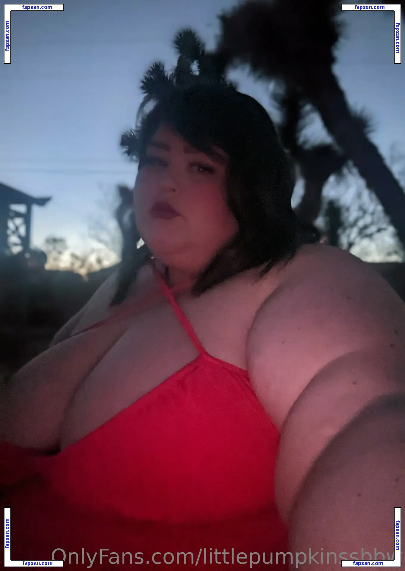 littlepumpkinssbbw nude photo #0008 from OnlyFans