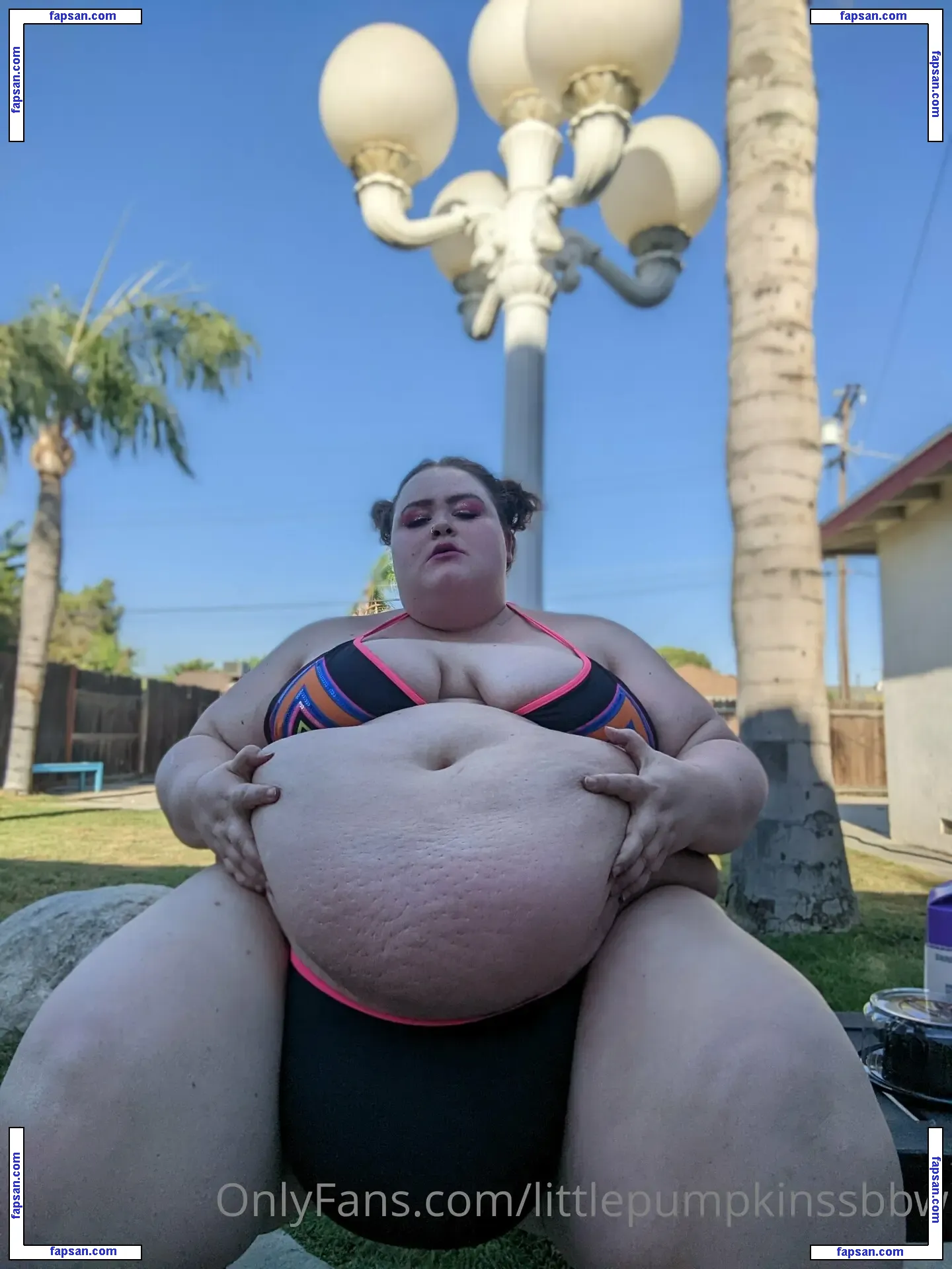 littlepumpkinssbbw nude photo #0024 from OnlyFans