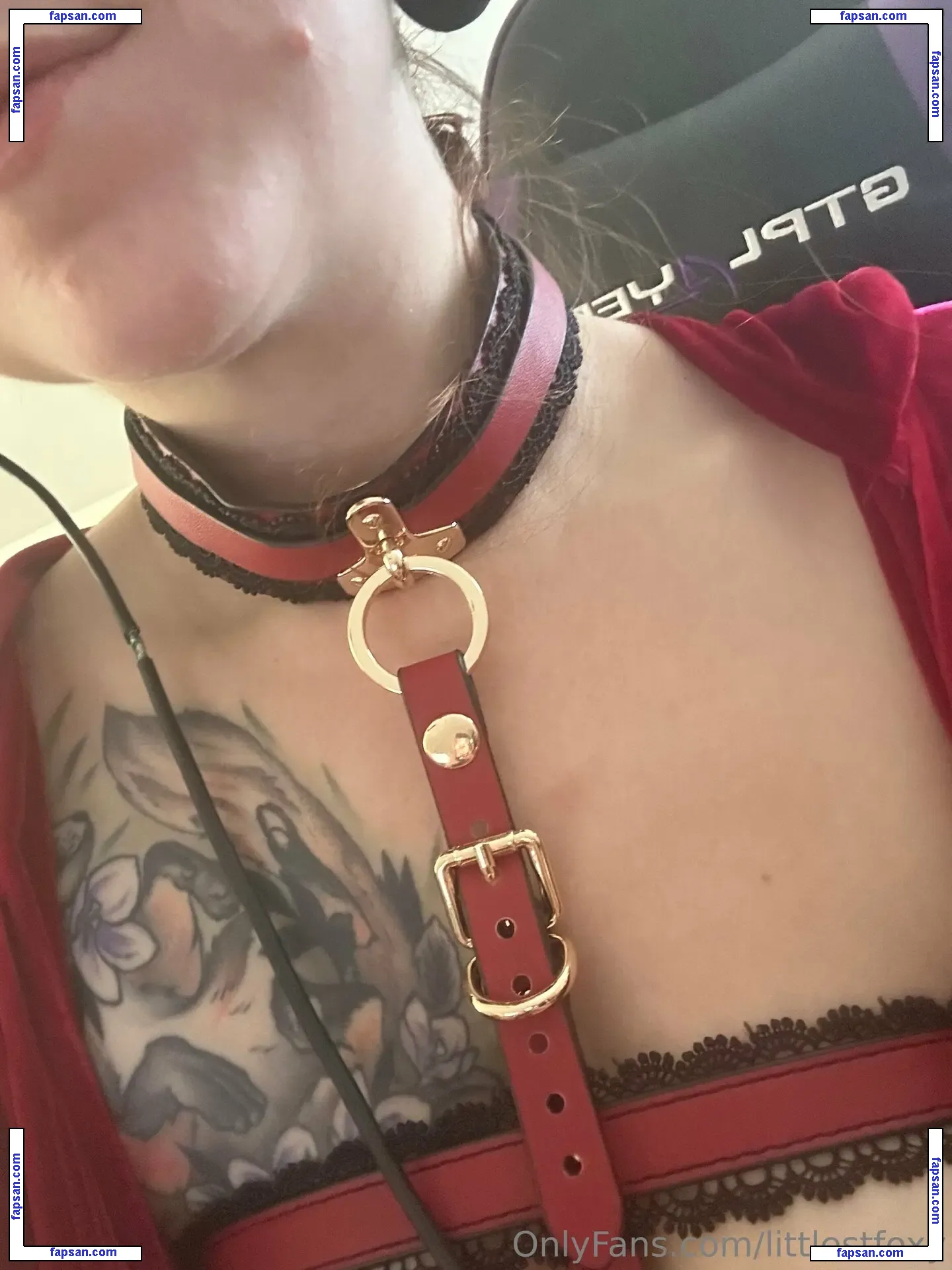 littlestfoxy nude photo #0008 from OnlyFans