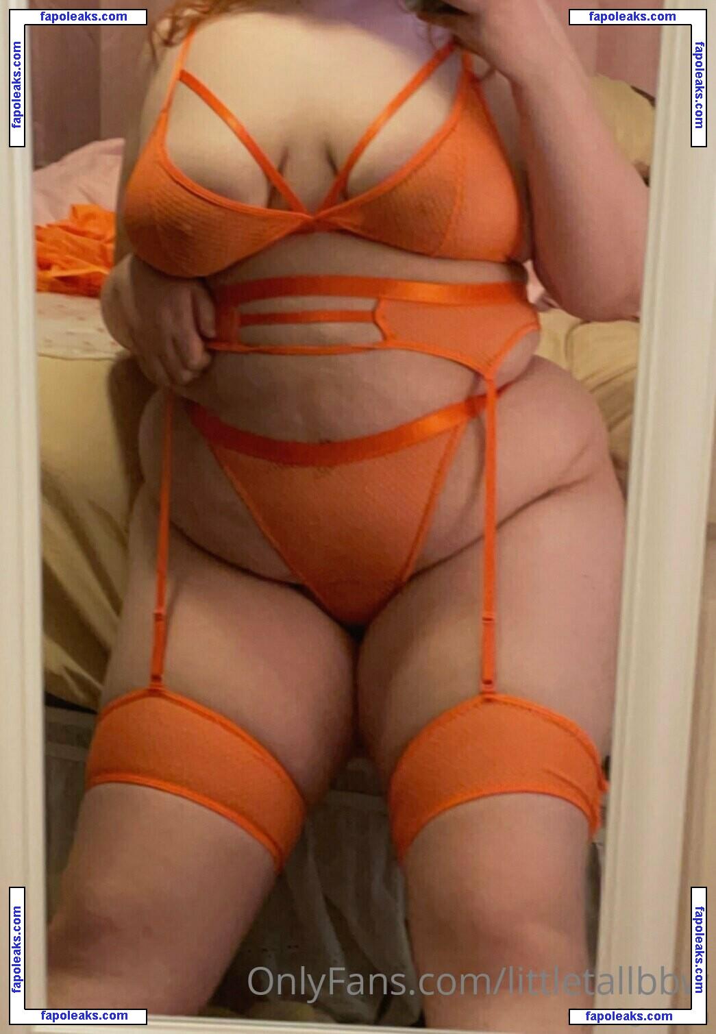 littletallbbw / littlemissbbw005 nude photo #0025 from OnlyFans