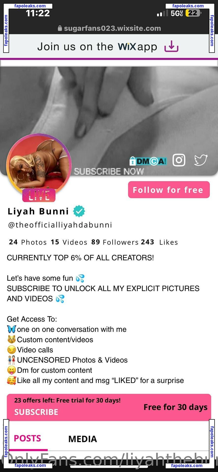 liyahthebunni / official_liyahhh nude photo #0004 from OnlyFans