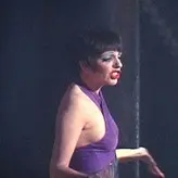 Liza Minnelli nude #0002