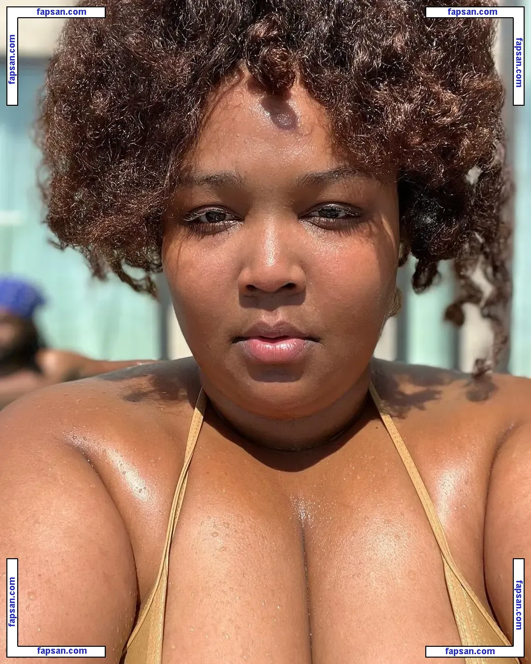 Lizzo nude photo #0594 from OnlyFans