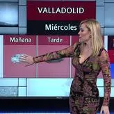 Local TV Presenters голая #0090