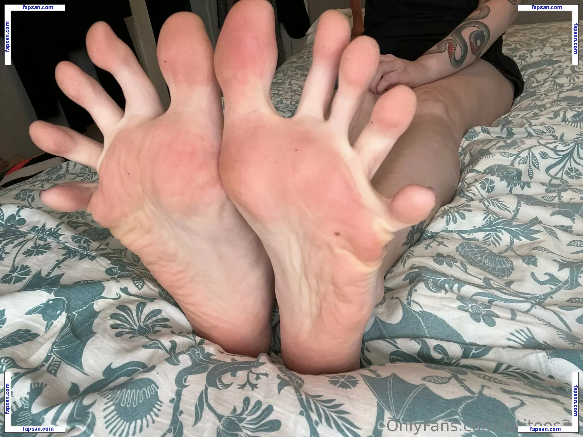 Loritoes 33 голая фото #0020 с Онлифанс