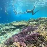 Lorrane Dos Santos nude #0033