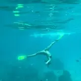 Lorrane Dos Santos голая #0041