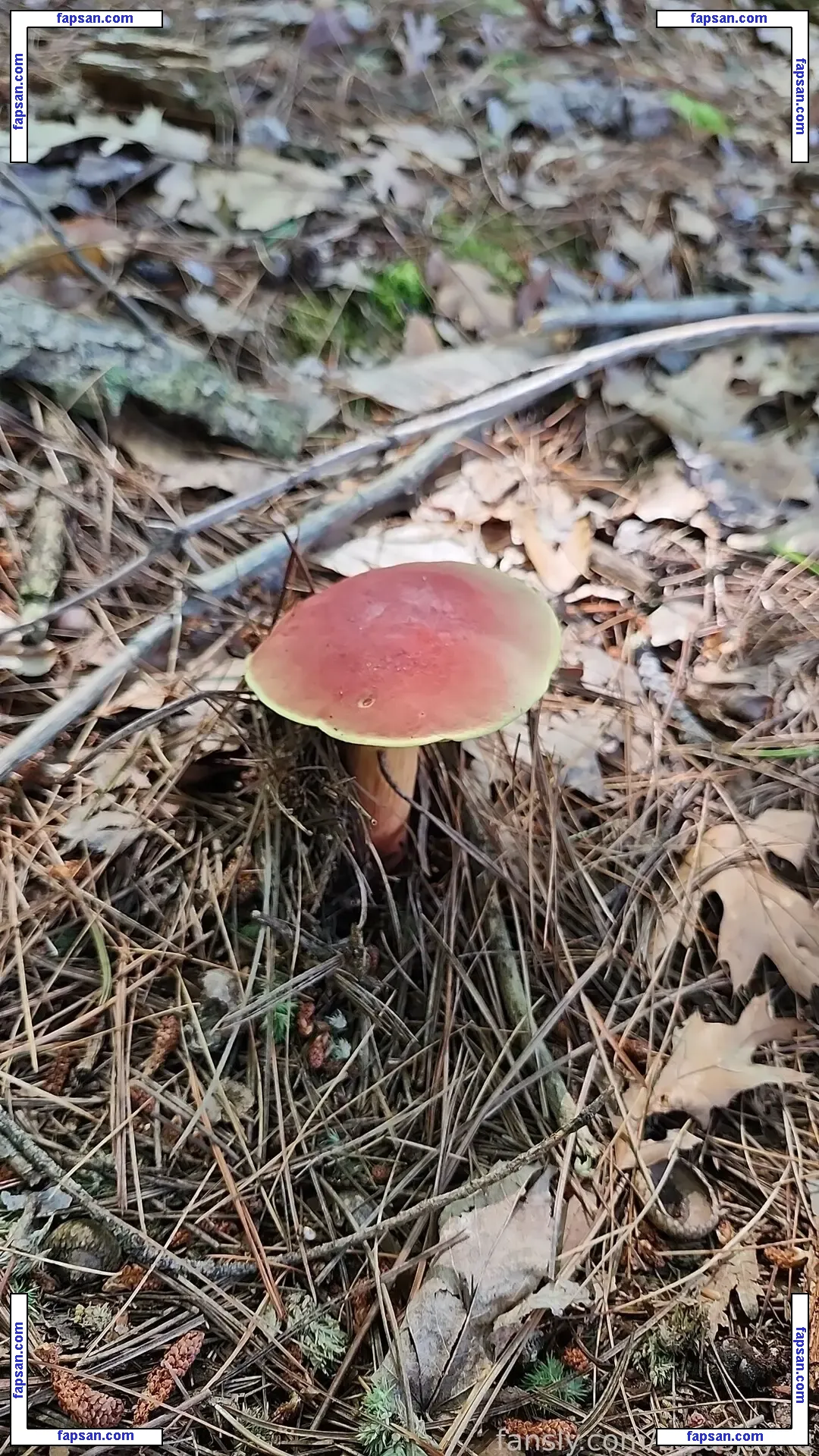 LotusJayne голая фото #0104 с Онлифанс