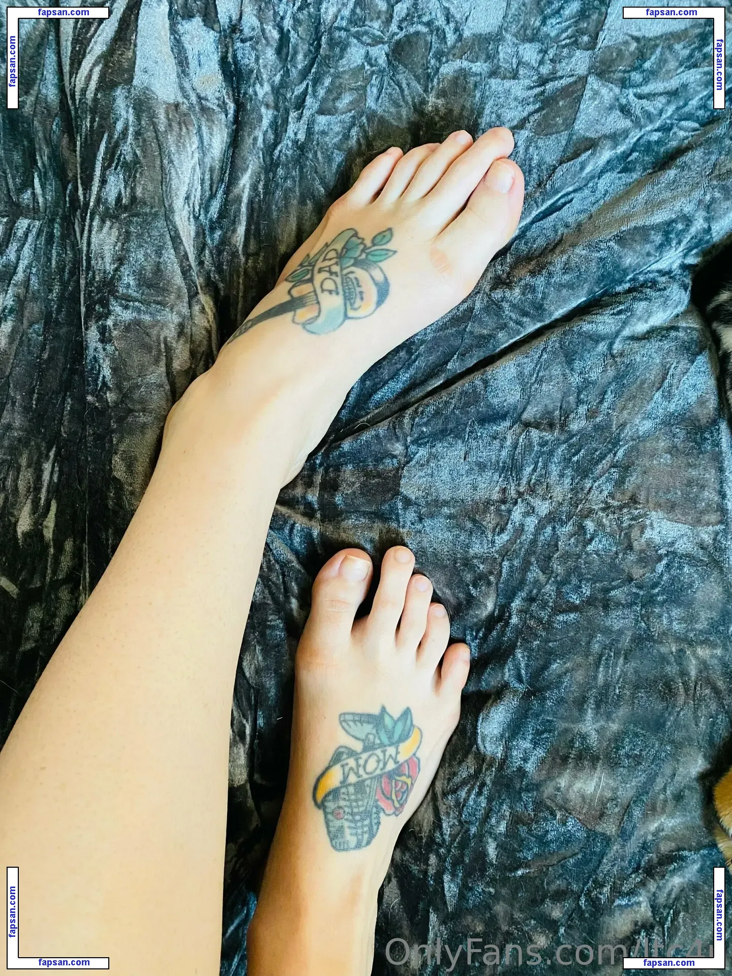 ltc4u / cedfit4u nude photo #0003 from OnlyFans