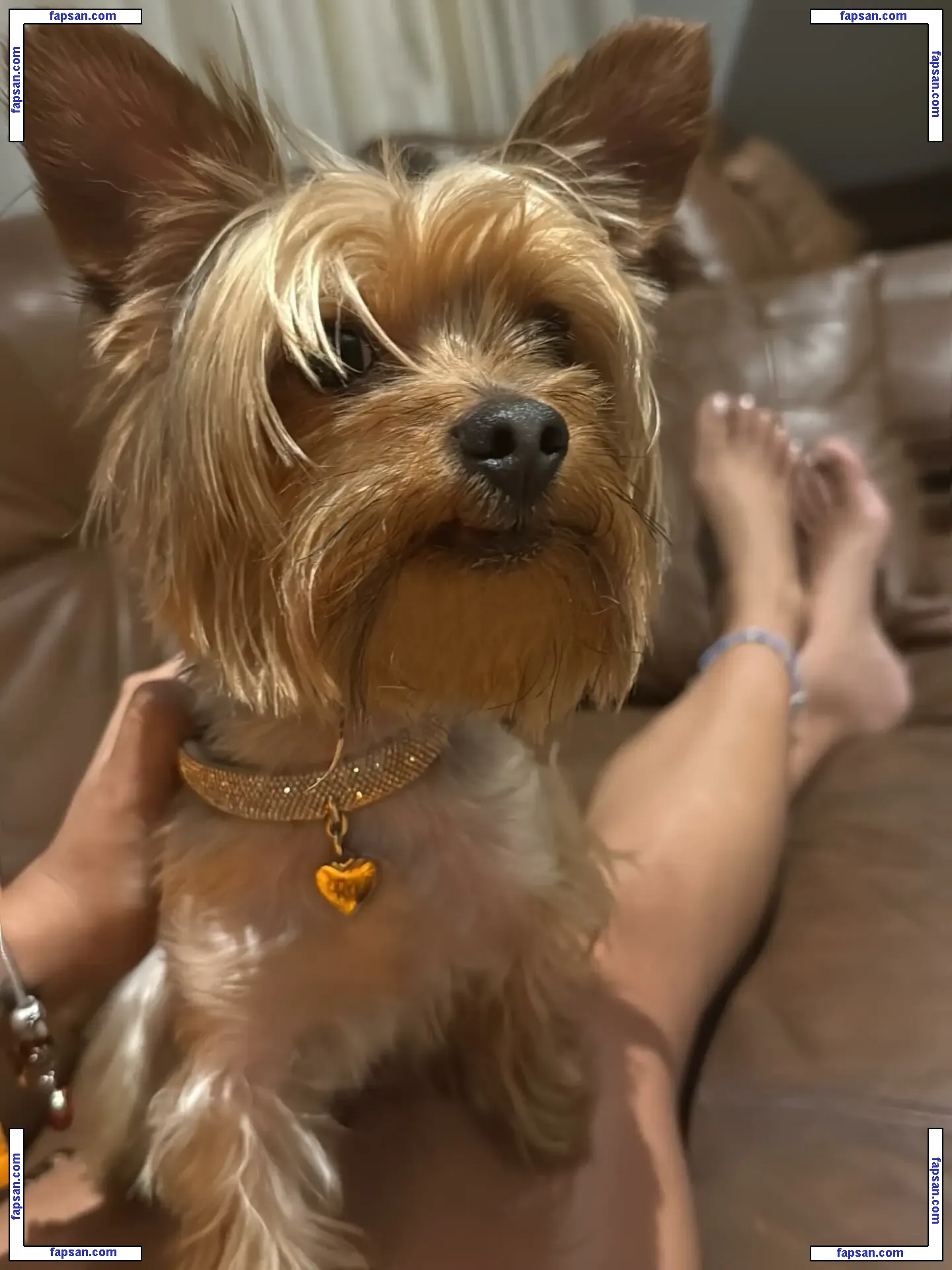 Lucero Balboa Hotwife nude photo #0013 from OnlyFans