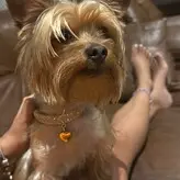 Lucero Balboa Hotwife nude #0013