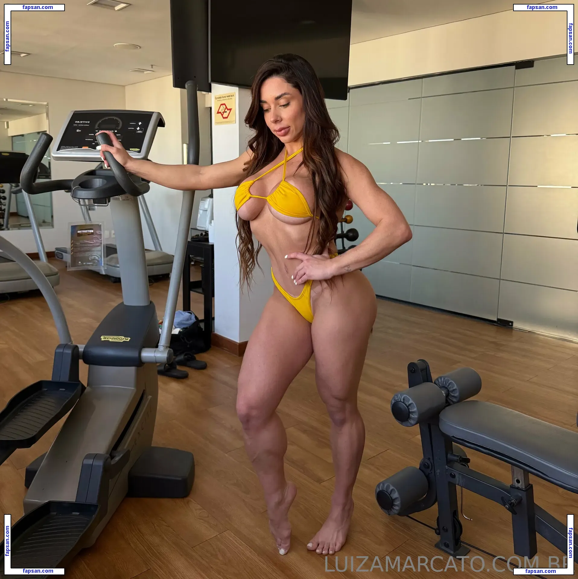luizamarcato nude photo #0008 from OnlyFans