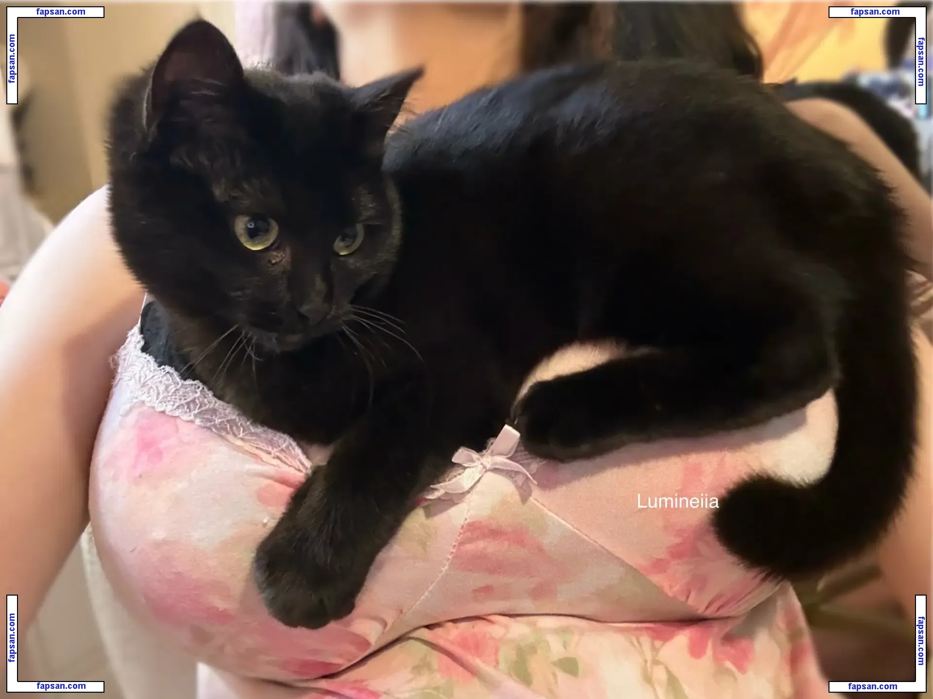 Lumineiia голая фото #0042 с Онлифанс