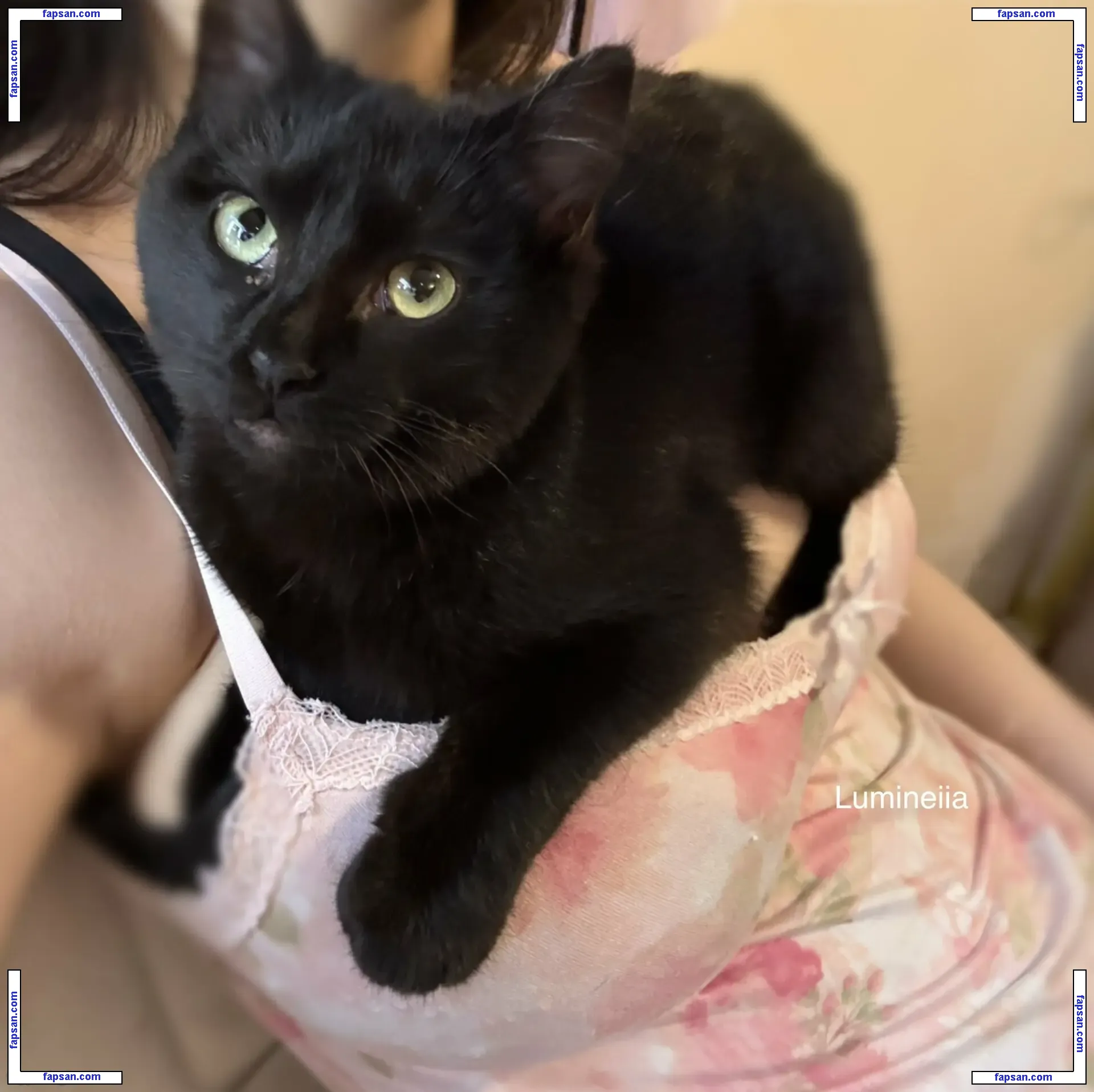 Lumineiia голая фото #0043 с Онлифанс