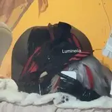 Lumineiia голая #0037