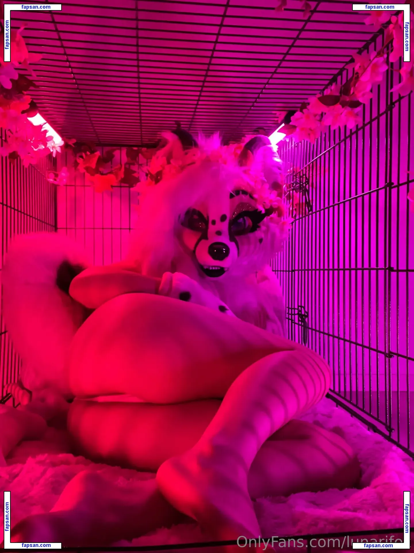 lunarifox nude photo #0005 from OnlyFans