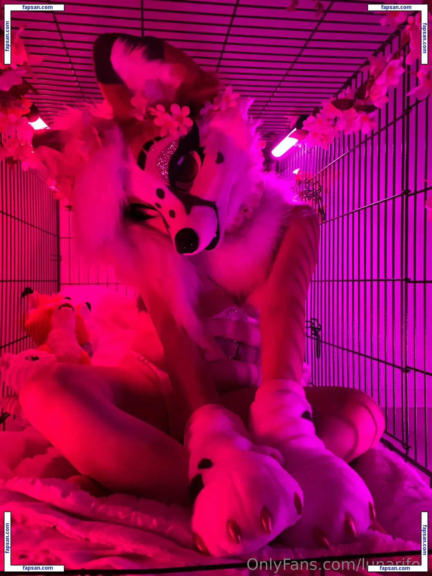 lunarifox nude photo #0025 from OnlyFans