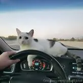 lydsoftiktok голая #0003