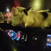 lydsoftiktok голая #0004