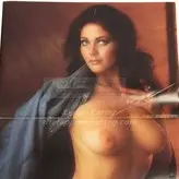 Lynda Carter nude #0039