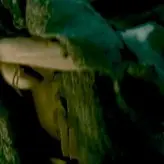 Maggie Q nude #0078