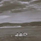 Maisie Williams голая #0948