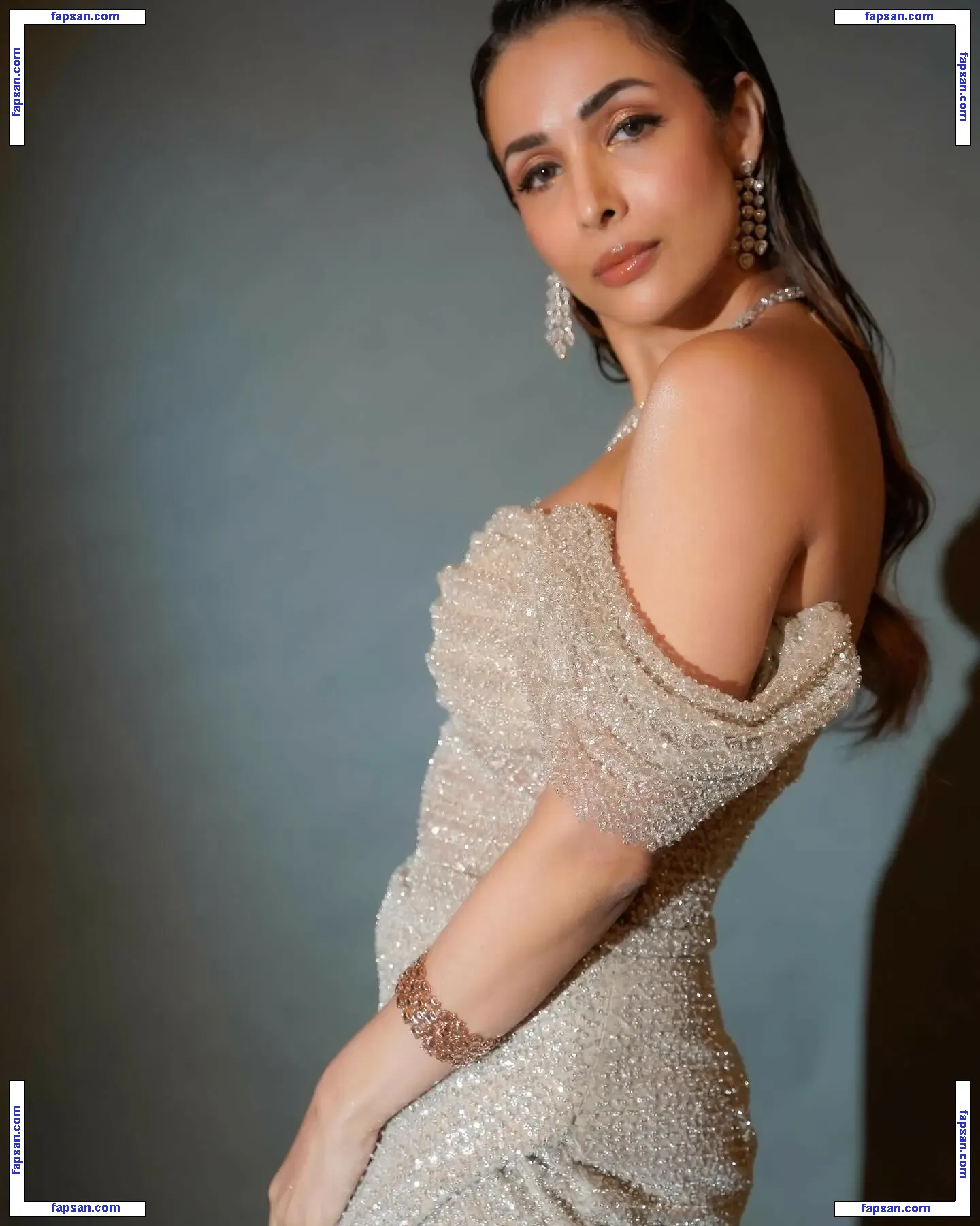 Malaika Arora голая фото #0033 с Онлифанс