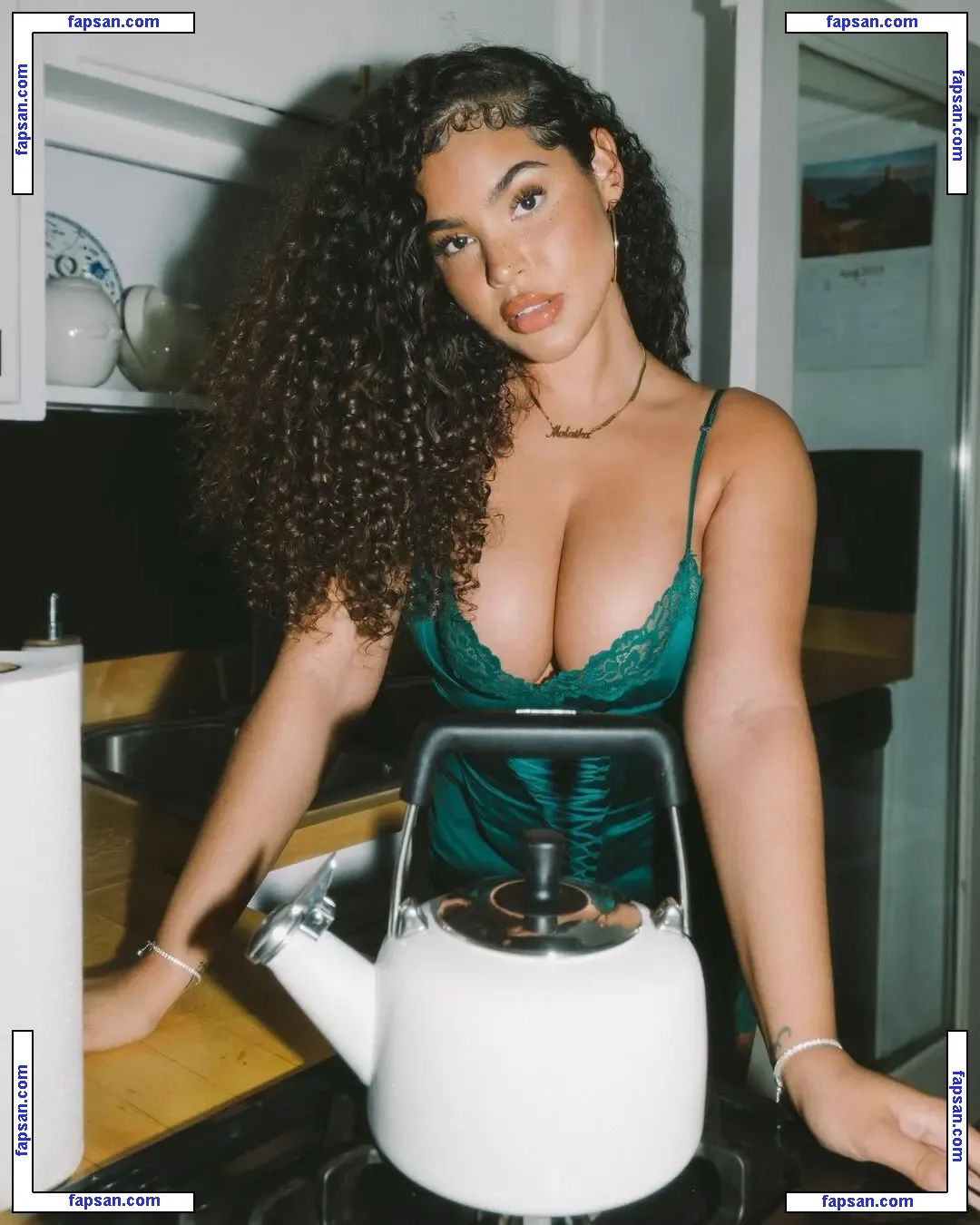 Malaika Terry nude photo #0284 from OnlyFans