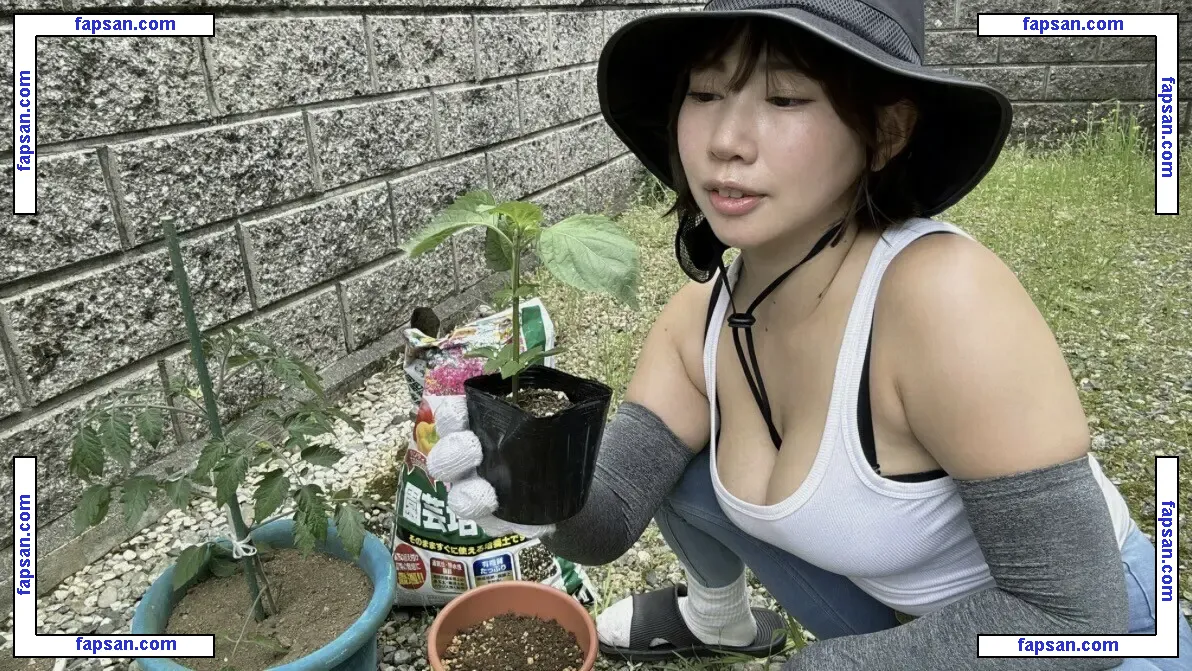 Maori Biyori nude photo #0004 from OnlyFans