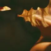 Margot Robbie голая #0193