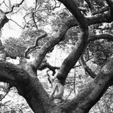 Mariana Ximenes nude #0200