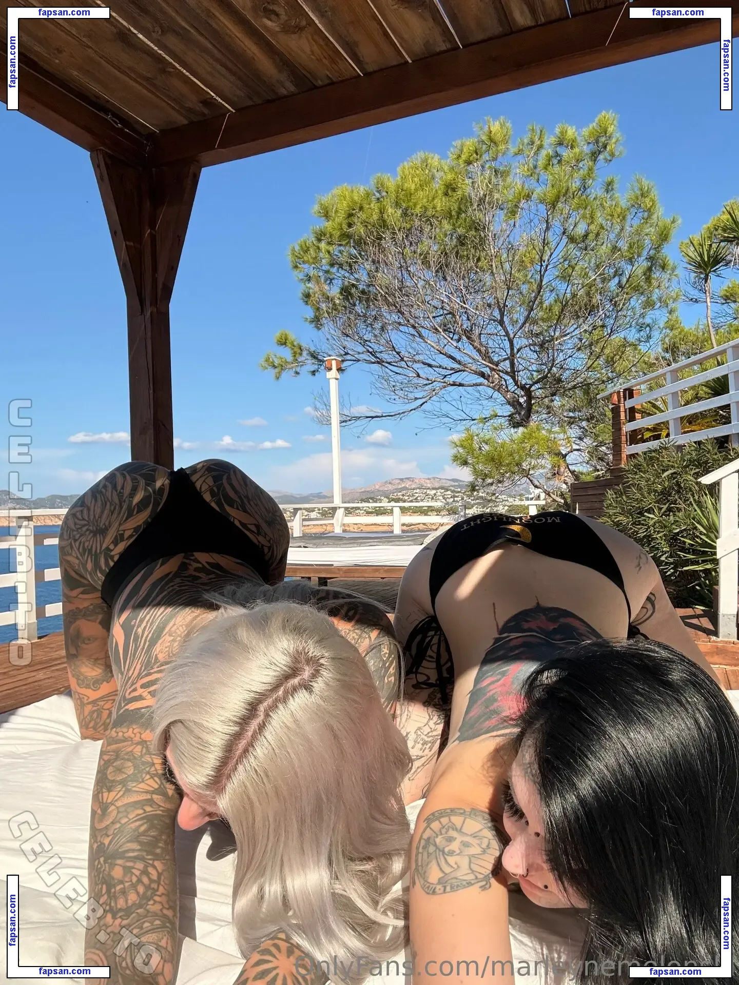 Marleyne Melonski голая фото #0012 с Онлифанс