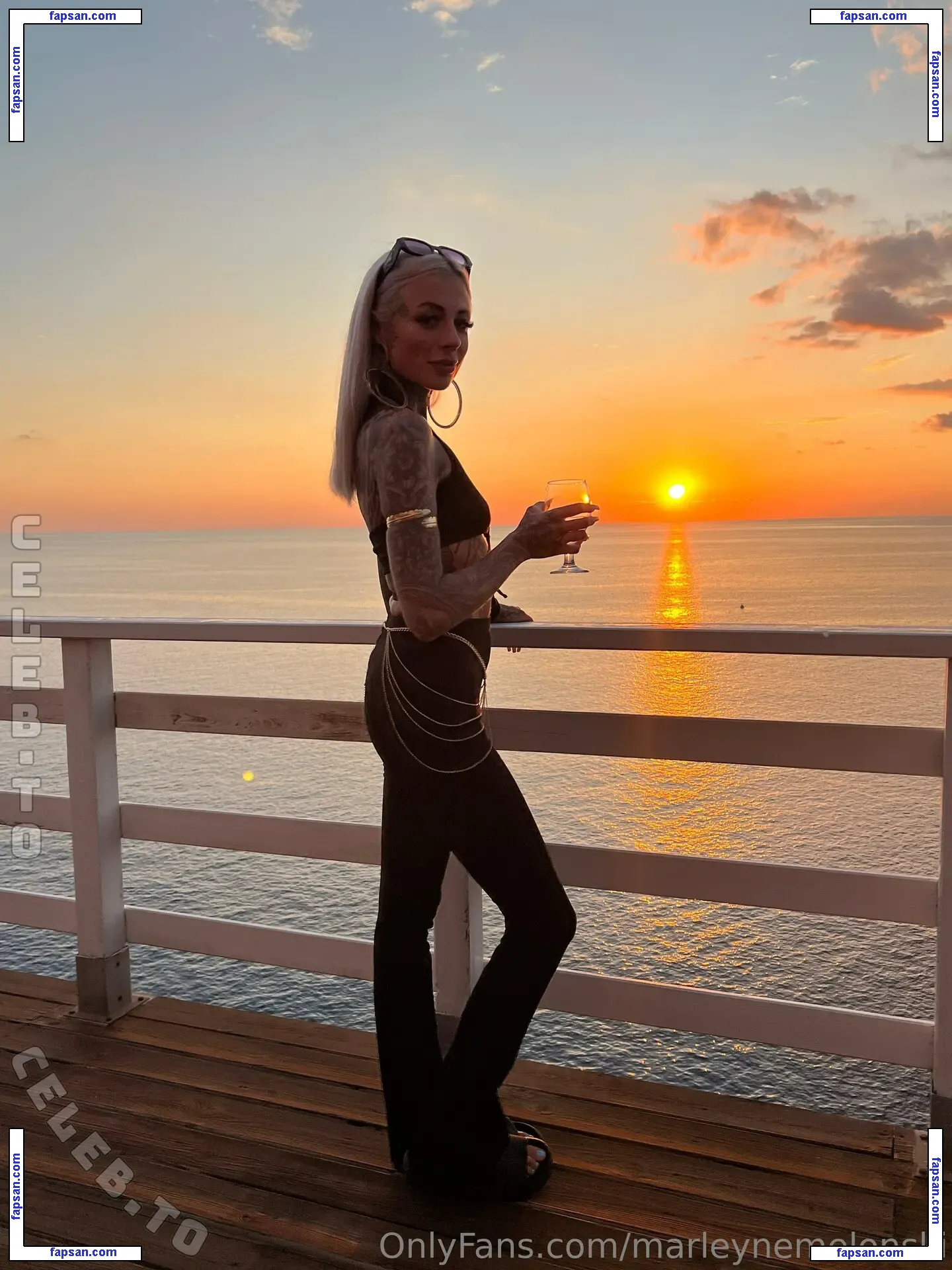 Marleyne Melonski голая фото #0014 с Онлифанс