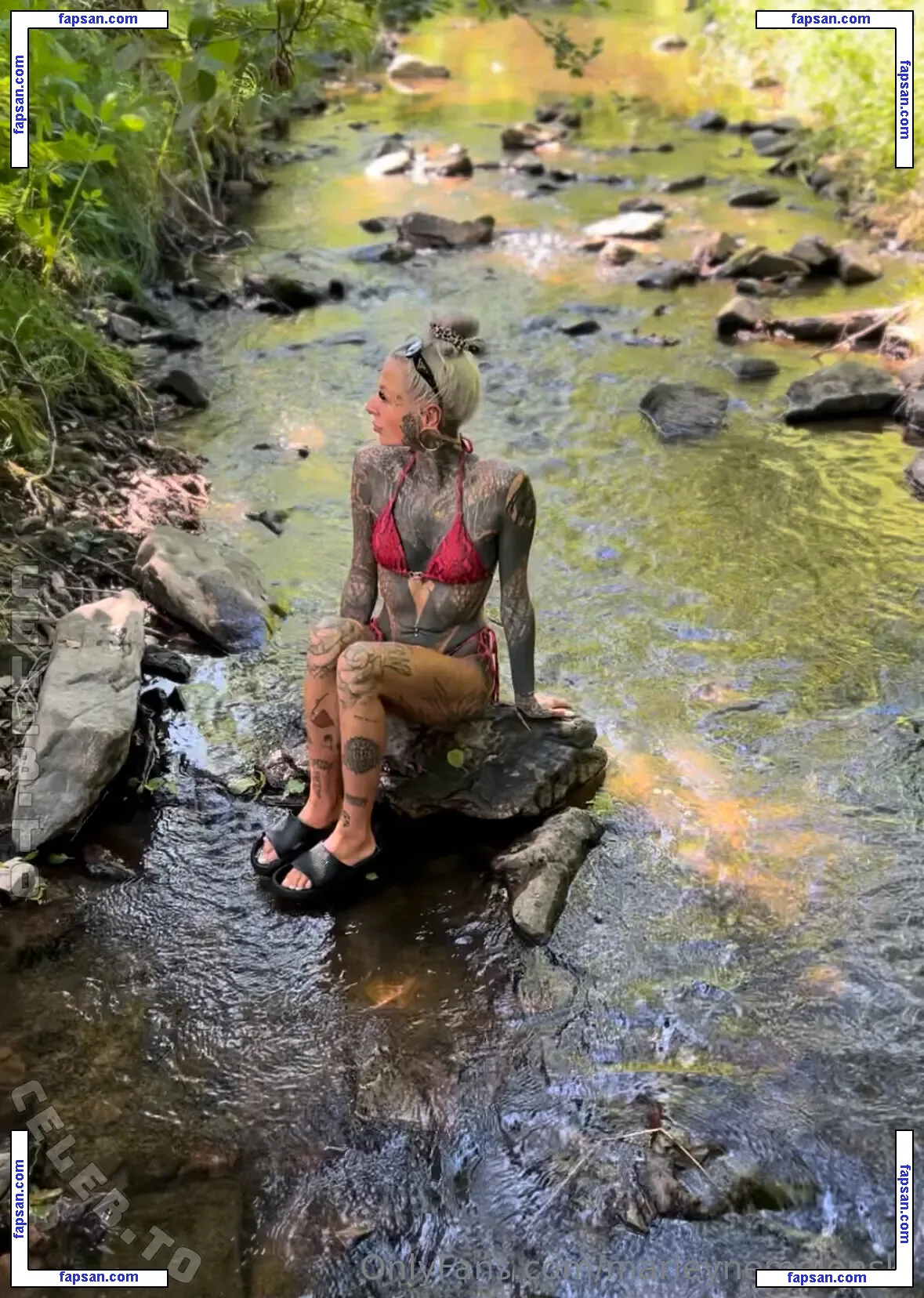 Marleyne Melonski голая фото #0019 с Онлифанс