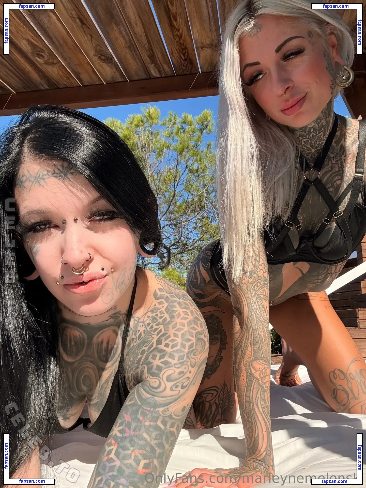 Marleyne Melonski голая фото #0030 с Онлифанс