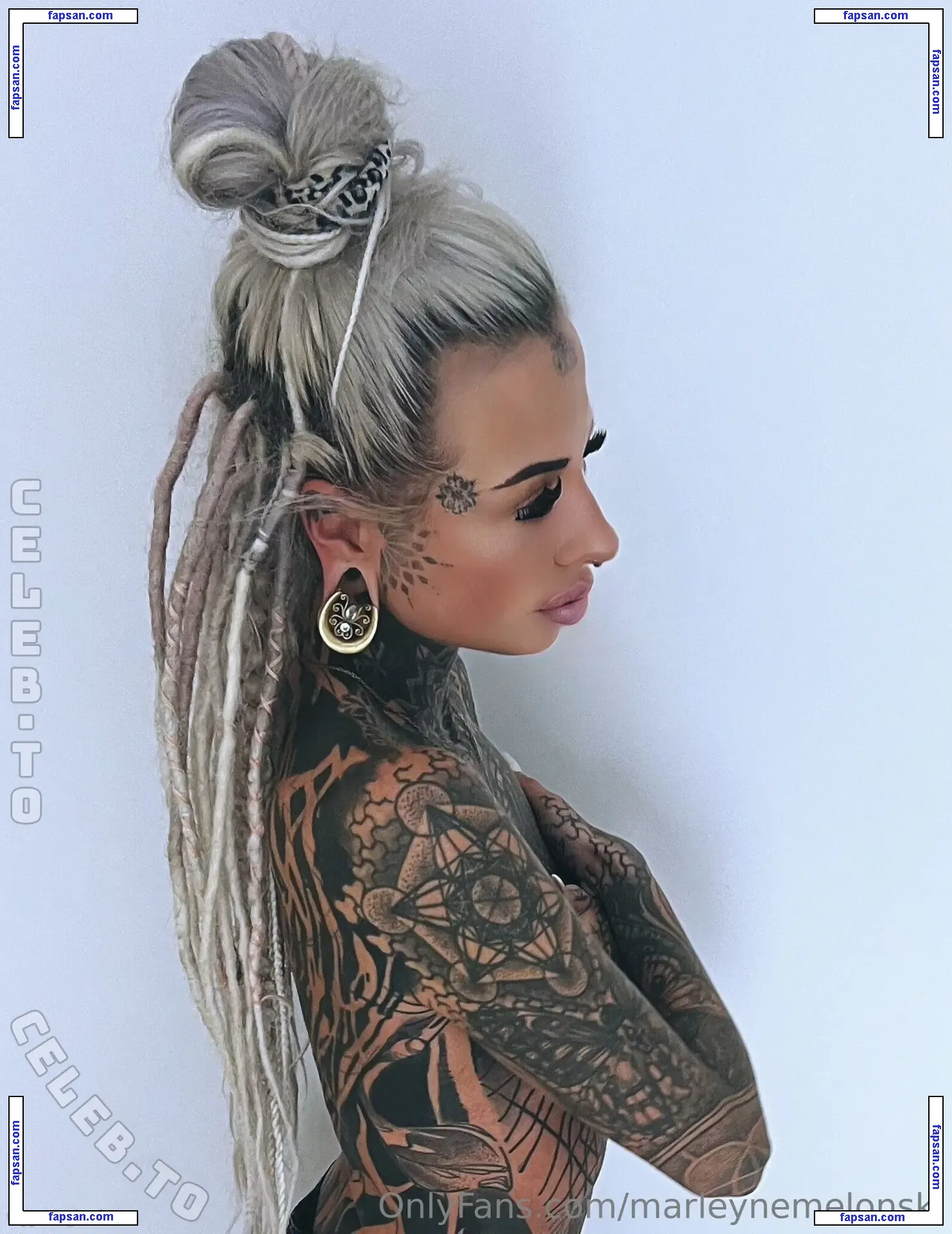 Marleyne Melonski голая фото #0036 с Онлифанс