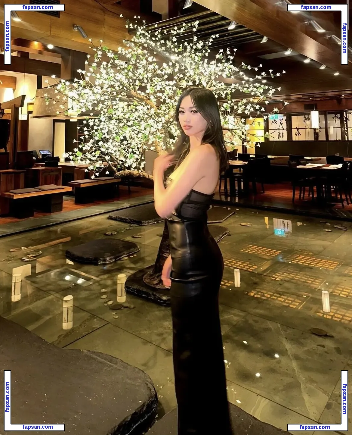 Mary Lim nude photo #0008 from OnlyFans