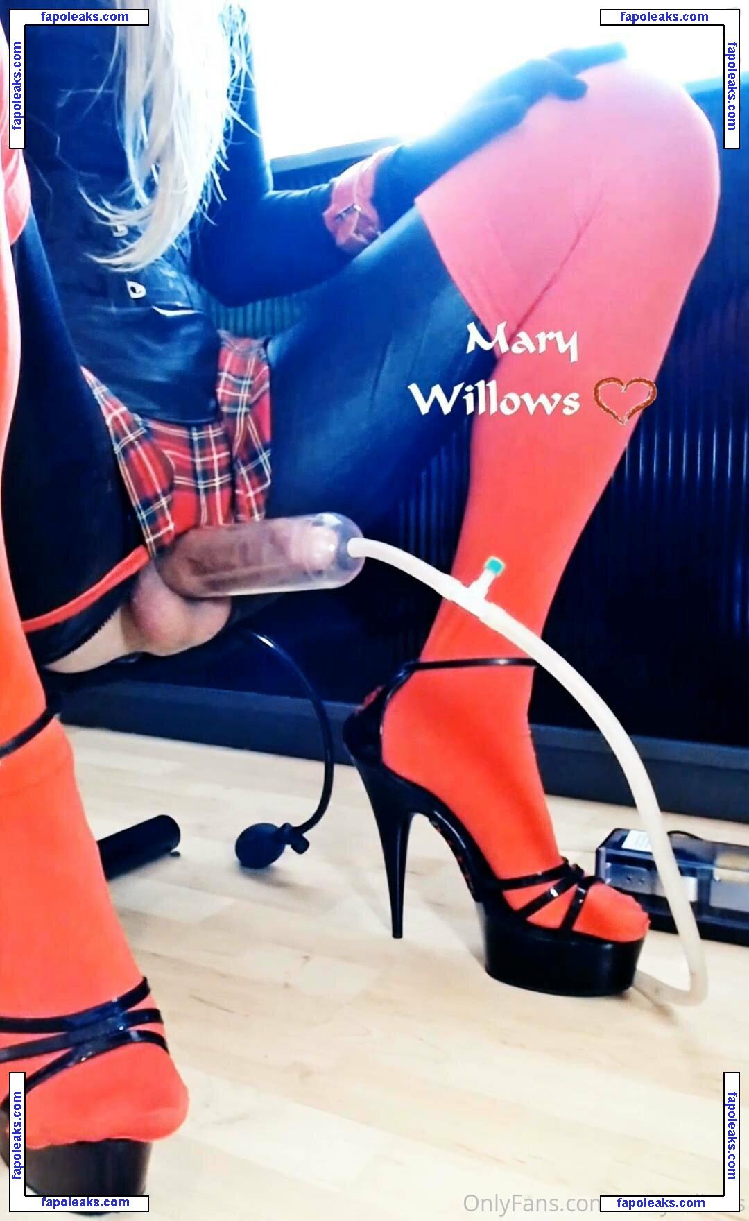 marywillows nude photo #0030 from OnlyFans