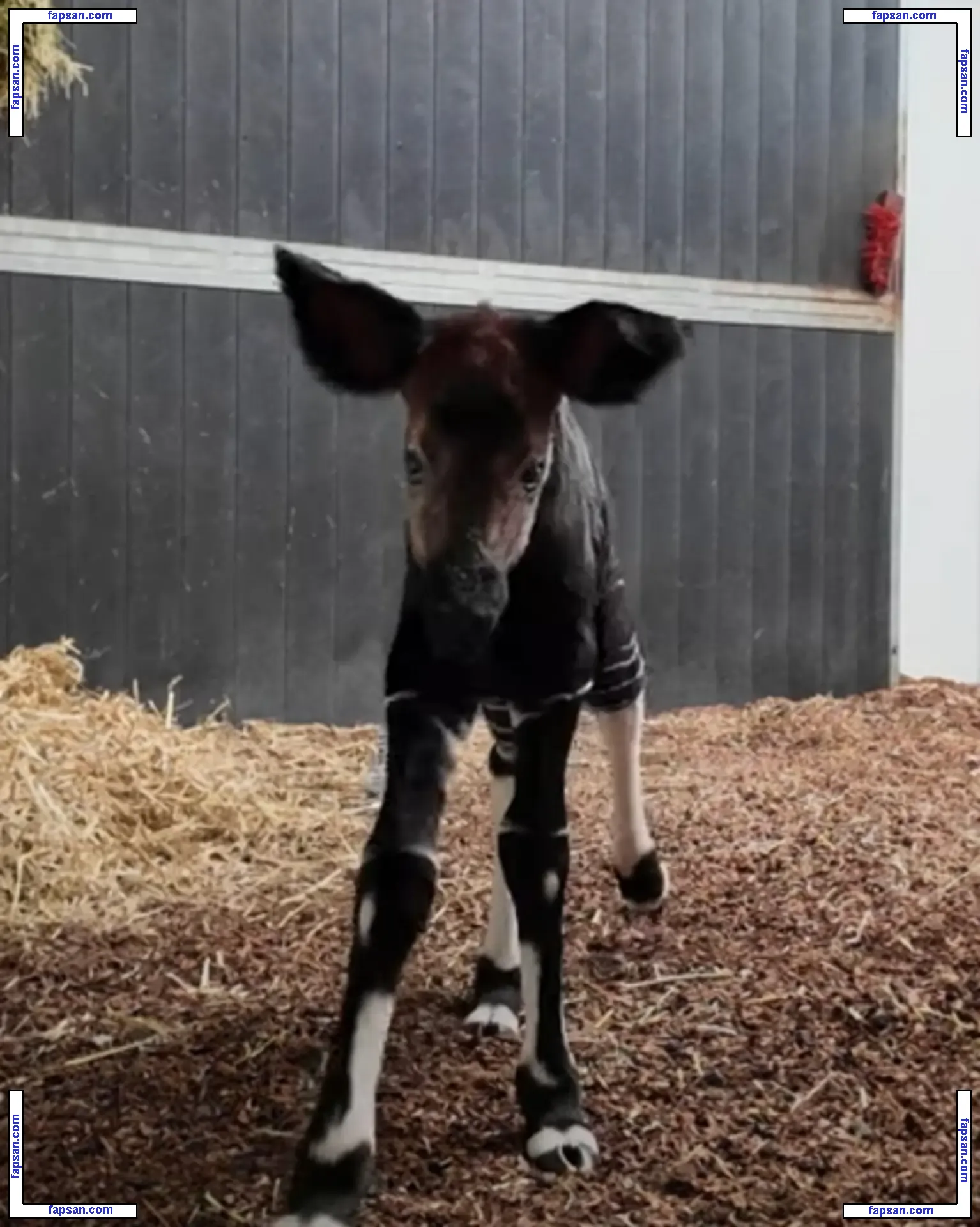 Meg Mullins голая фото #0001 с Онлифанс