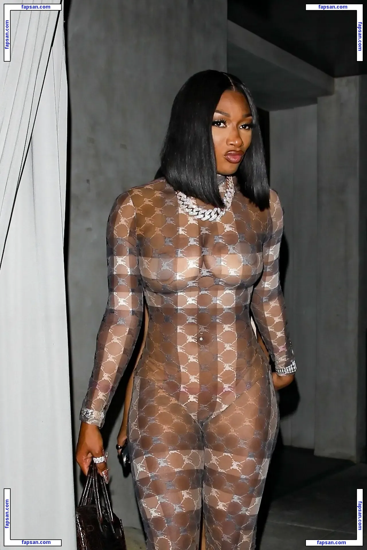 Meg The Stallion голая фото #0001 с Онлифанс