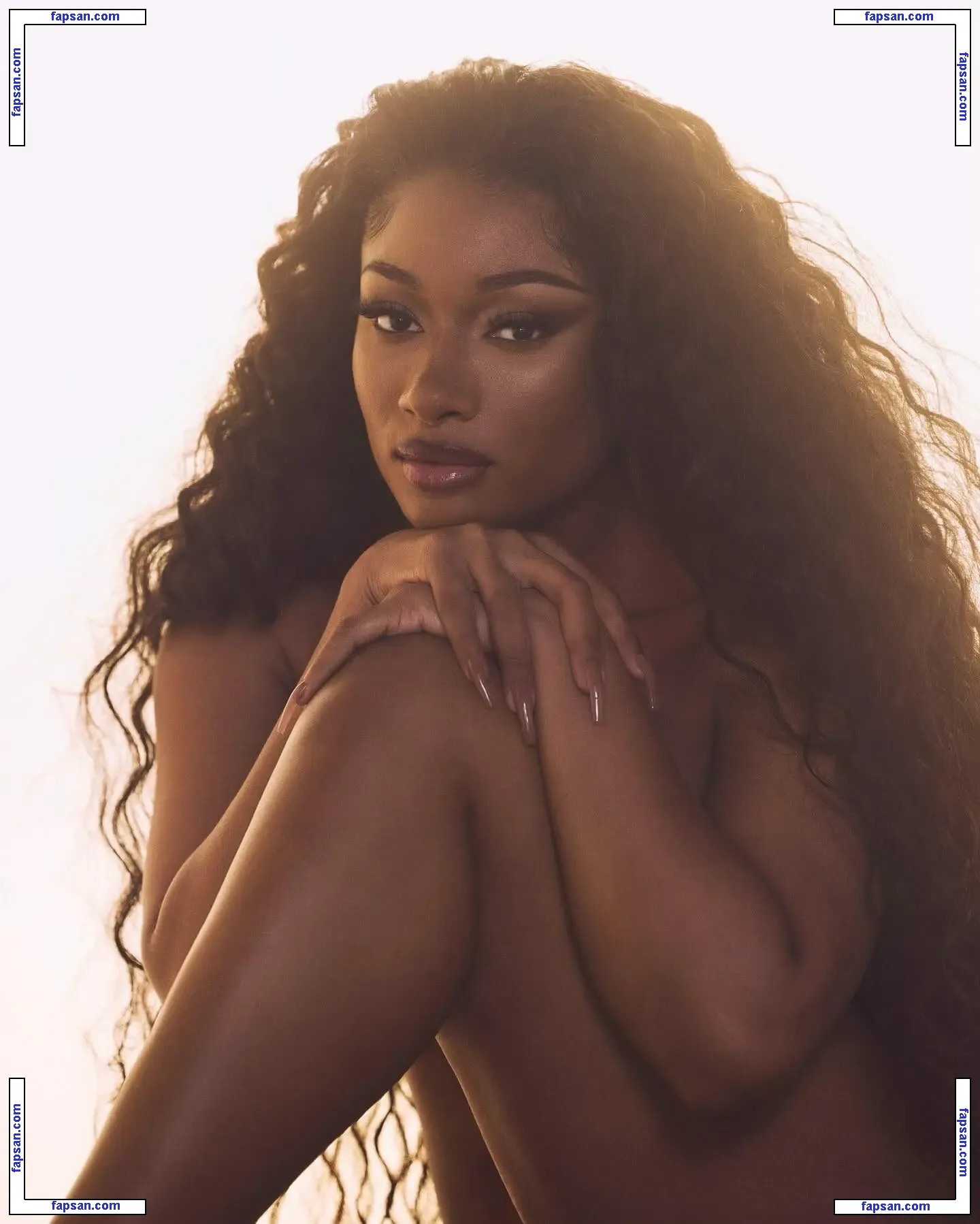 Meg The Stallion голая фото #0027 с Онлифанс