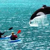 Megan Bitchel голая #0003