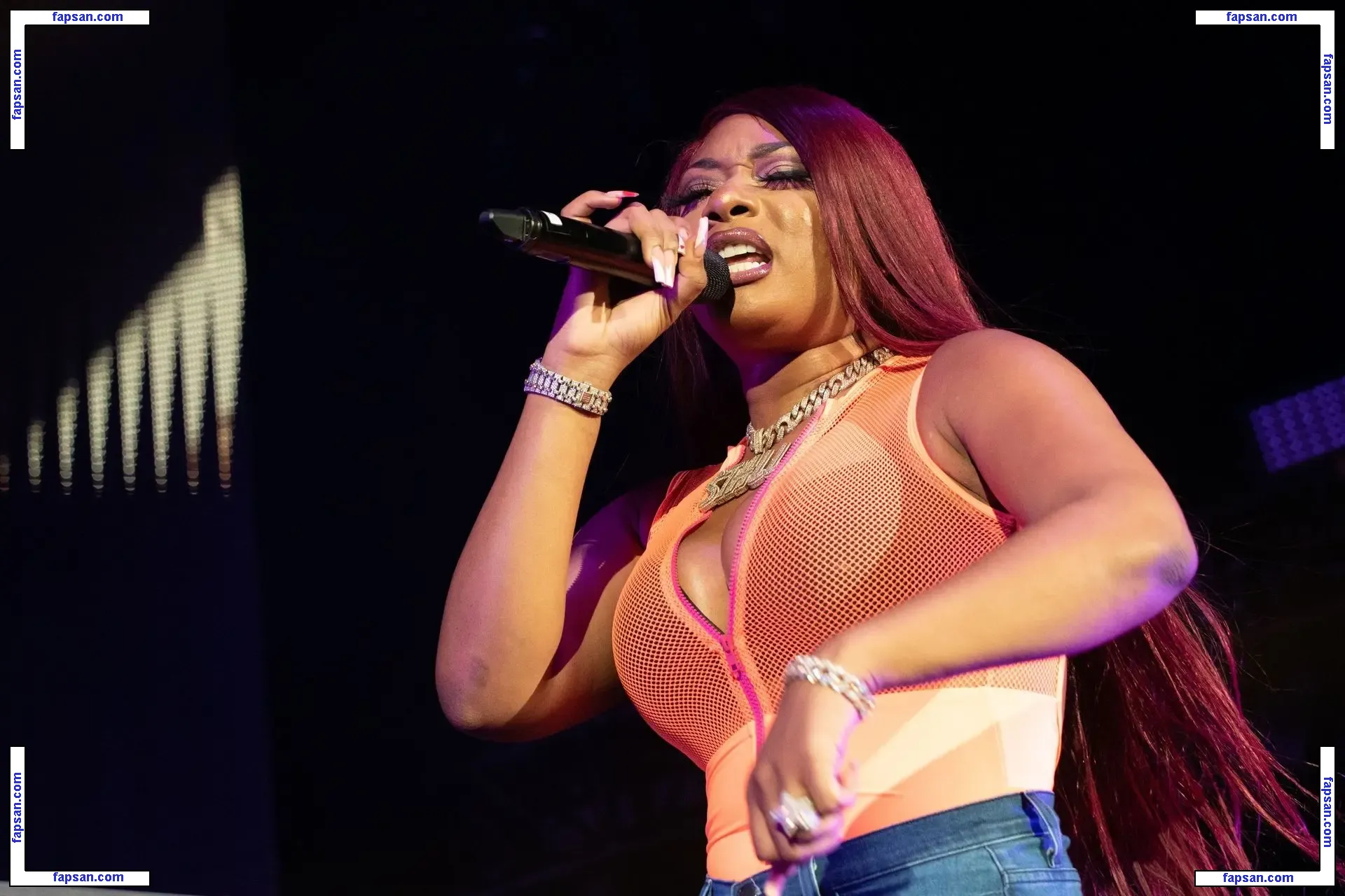 Megan Thee Stallion nude photo #0002 from OnlyFans